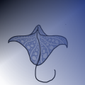 Stingray