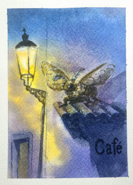 Moth
