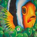 Hidden Clownfish