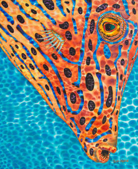 Scrawled File Fish