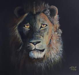 Wildlife / Lion / King