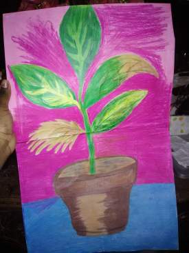 still drawing