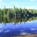 Lake in the Algonquin Park