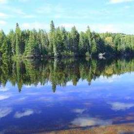 Lake in the Algonquin Park