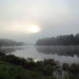 Foggy morning in the Algonquin Lake