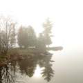 Foggy morning in the Algonquin Lake Onta