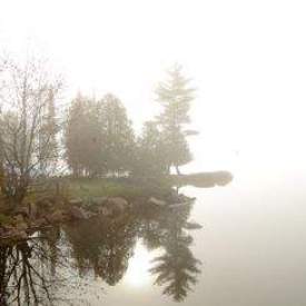 Foggy morning in the Algonquin Lake Onta