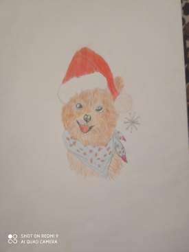 Christmas pomeranian