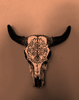 Stylized Steer Skull