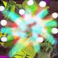 9 Lights Shine in the Mildew Disco