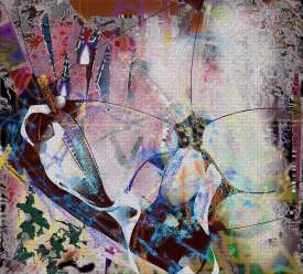 Battle Scarred but Triumphant Harvestman