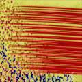 Cell Migration
