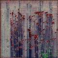 Derelict House, Pomegranate Arils 