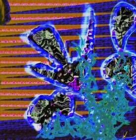 Excerpt from the Memoir of a Dream Ecologist