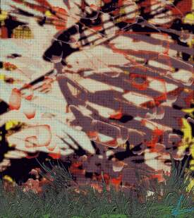 Fast-Forward, Rewind