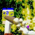 For Mayonnaise Was His Enemy
