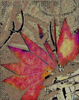 Harbinger of Glorious Autumn Found in the Wreckage
