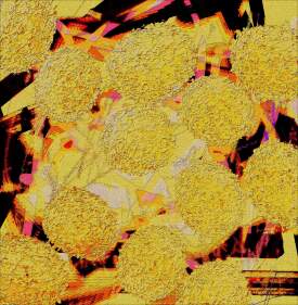 Hyman’s Hush Puppies, Melbafied Sweet Potato Fries