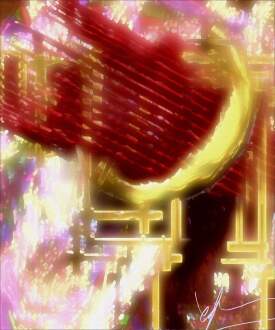 Non-Euclidean Torch