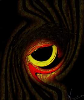 Oculus Noctuae