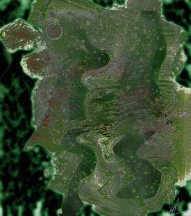 Physical Evidence of Panspermic Directed Evolution