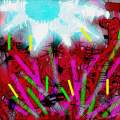Platelet Rave