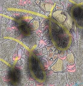 Poisoned Jesus Fish Floating in a Polluted River