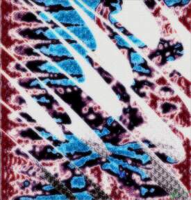 Semelparous Salmon Spectres in Spawning Season