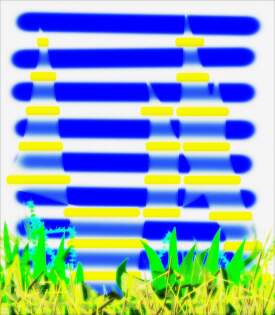 Startled but Invisible Cat