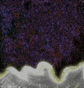 The Last Thing the Stargazer Saw