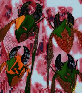 Western Kenyan Flower Chafers on a Double Date
