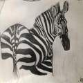 Don't Under Estimate a Zebra