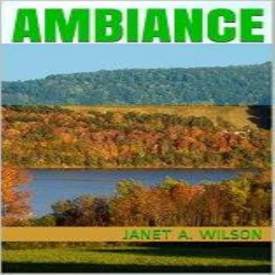 Ambiance Book Cover