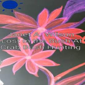 Lost In the Bush at Crab Bush Hunting, Book Cover