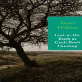 Lost In the Bush at Crab Bush Hunting, Book Cover