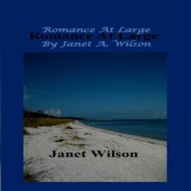Romance At Large, Book Cover