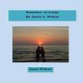 Romance At Large, Book Cover