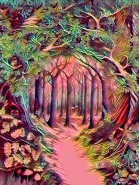 Enchanted Forest #1