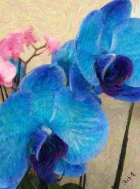BLUE FLOWERS IN BLOOM