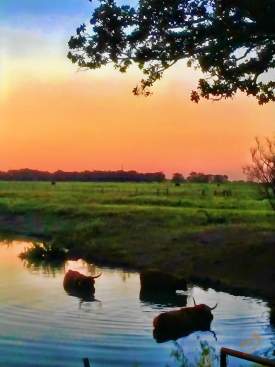 Mabank Texas Cooling Waters