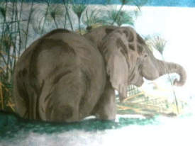 The African Elephant