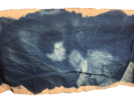 cyanotype 1