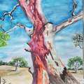 Tree Trunk!