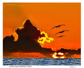 Sunset and 3 Pelicans in Flight