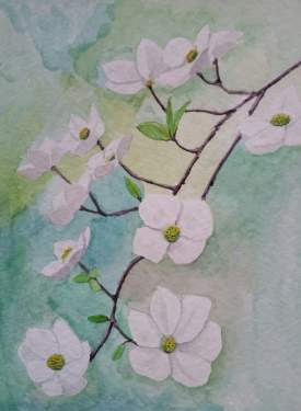 Dogwood flowers