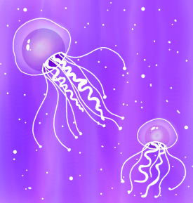 The Jellyfish 