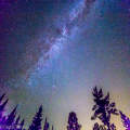 Milky Way above the forest
