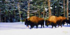 Yellowstone in Winter