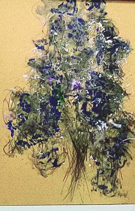 Iris