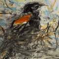 Red Winged from Series 